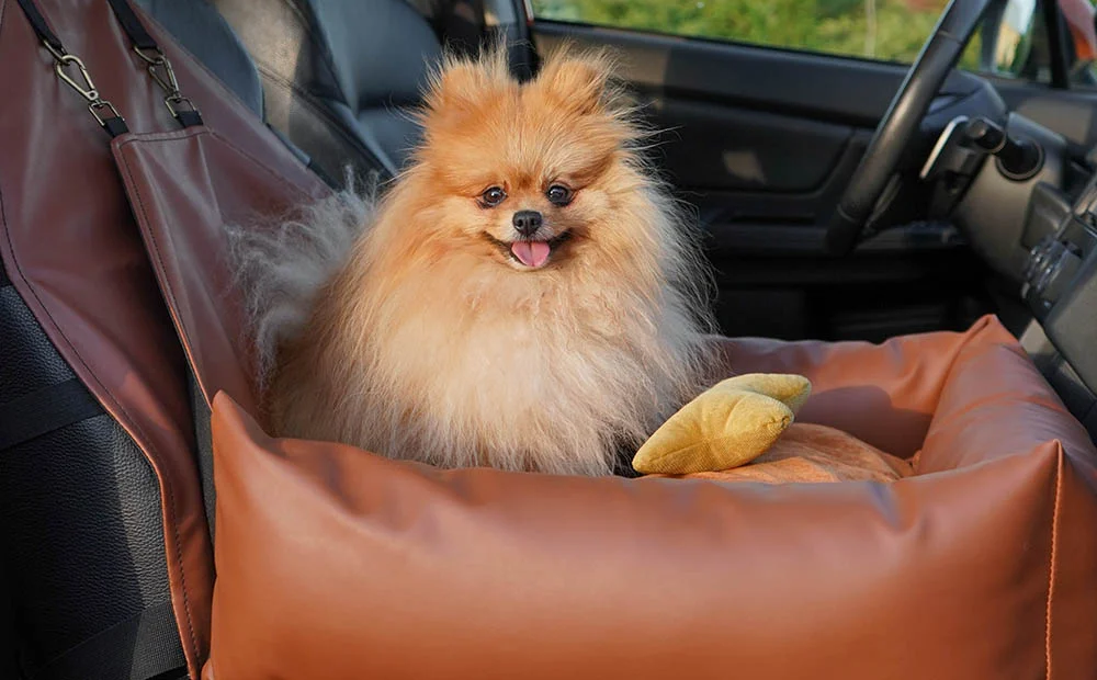 Audi A4 Dog Car Seat for Icelandic Sheepdogs